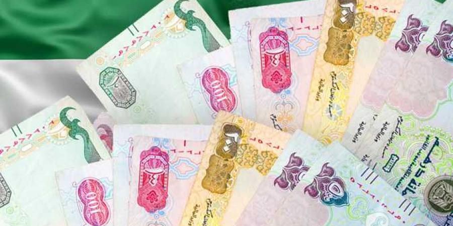 سعر الدرهم الإماراتي اليوم الثلاثاء 1-10-2024