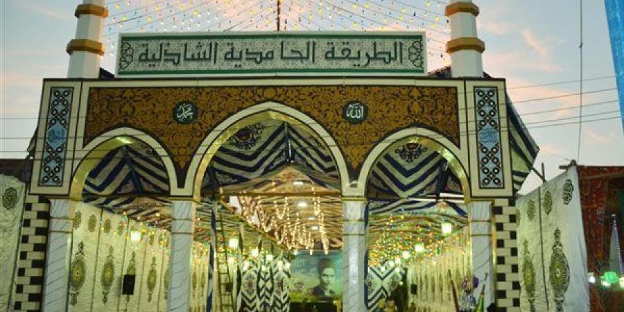 احتفالات المواطنين قبل بدء الليلة الختامية لمولد السيد البدوي.. صور