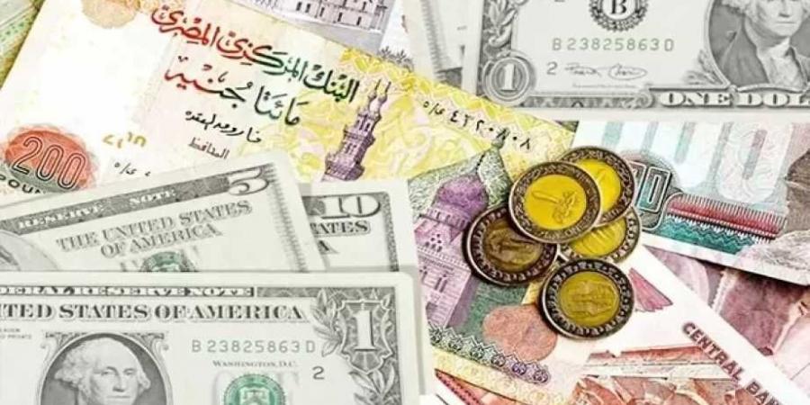 الدولار يسجل 48.56 جنيه للشراء.. أسعار العملات الأجنبية اليوم الجمعة